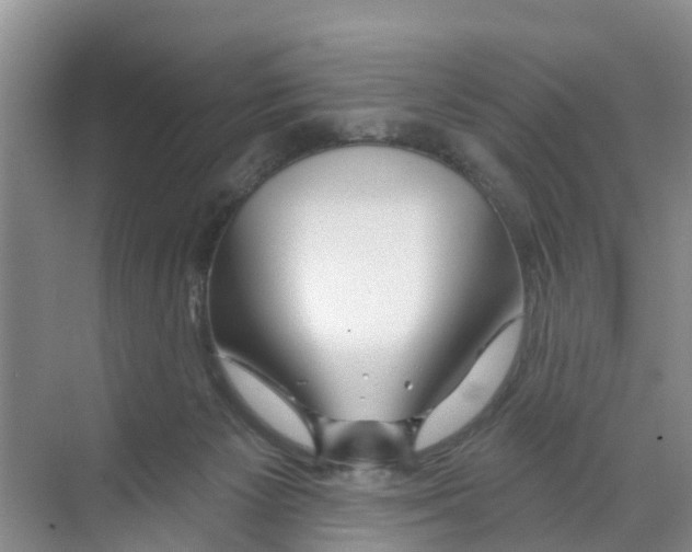 X0000070160125200606231905