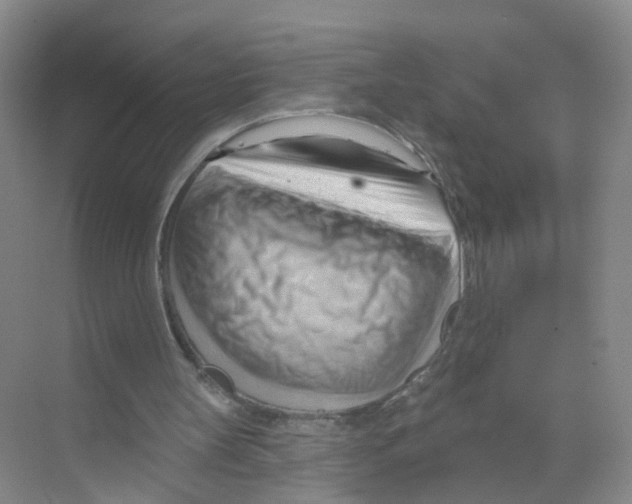 X0000070160147200606231904