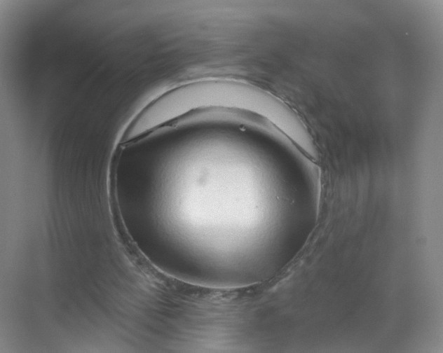 X0000070160148200606231904