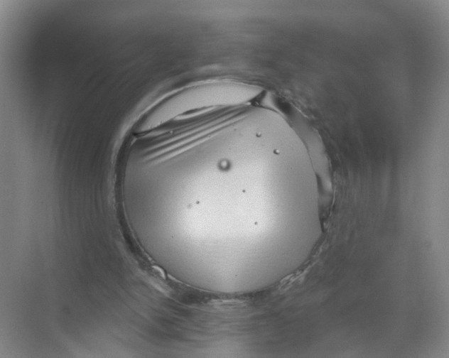 X0000070160150200606231904