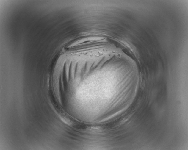 X0000070160157200606231904