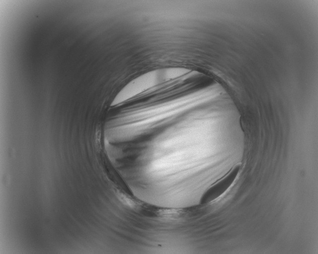 X0000070160192200606231904