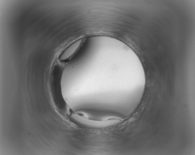 X0000070160193200606231904