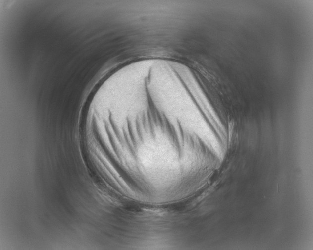 X0000070160195200606231904