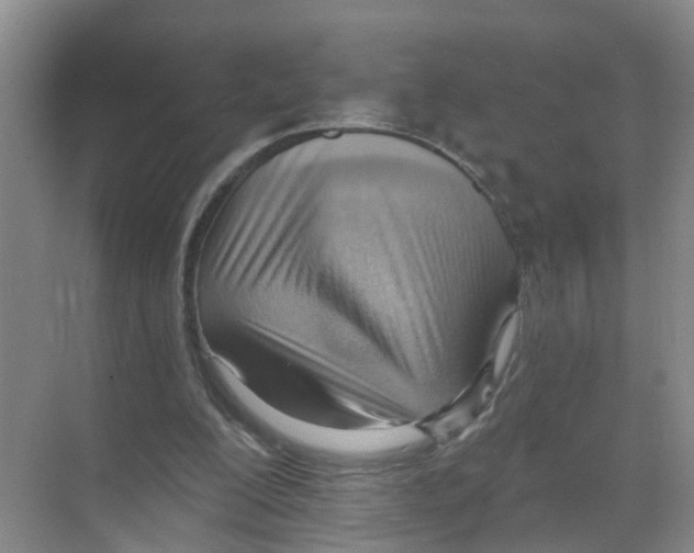 X0000070160200200606231903
