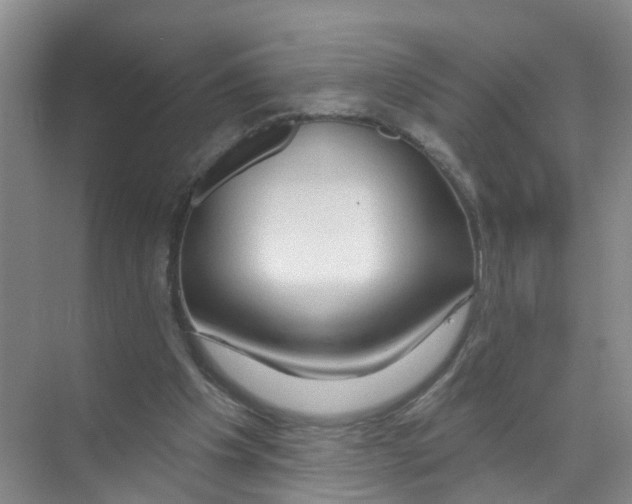 X0000070160201200606231903