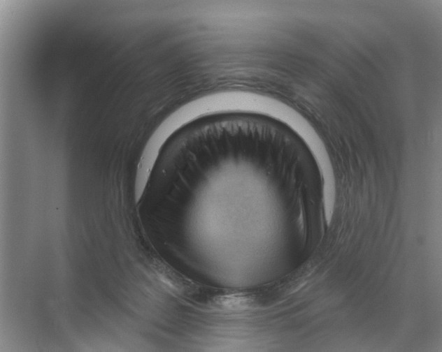 X0000070160219200606231903