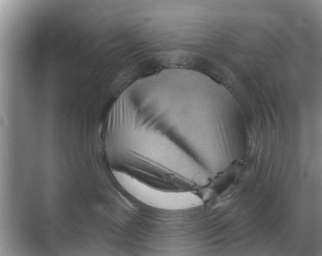 X0000070160239200606231903