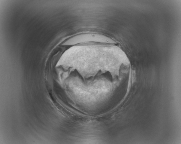X0000070160243200606231902