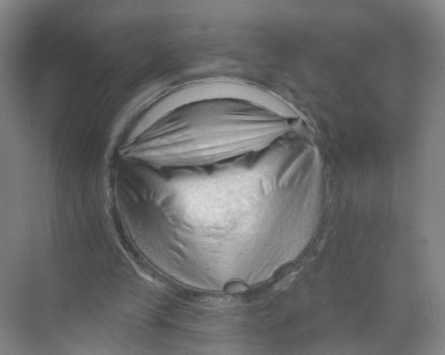 X0000070160245200606231902
