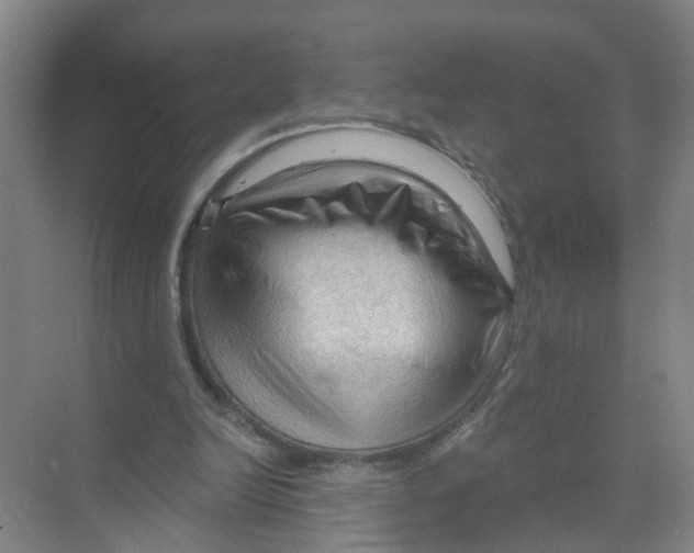 X0000070160246200606231902