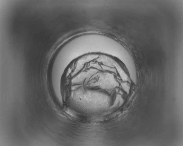 X0000070160247200606231902