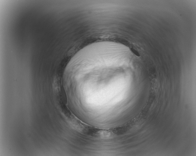 X0000070160272200606231902