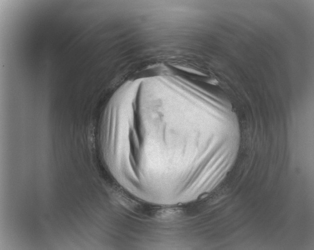 X0000070160274200606231903