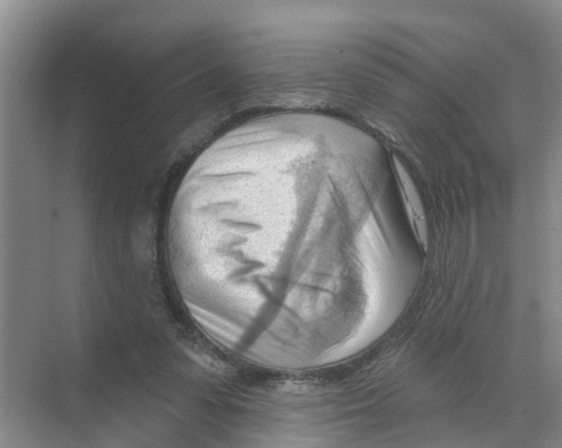 X0000070160303200606231902