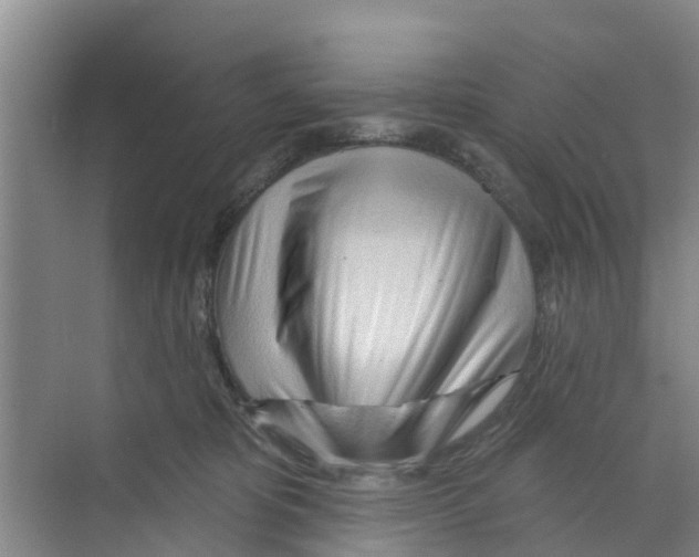 X0000070160325200606231901