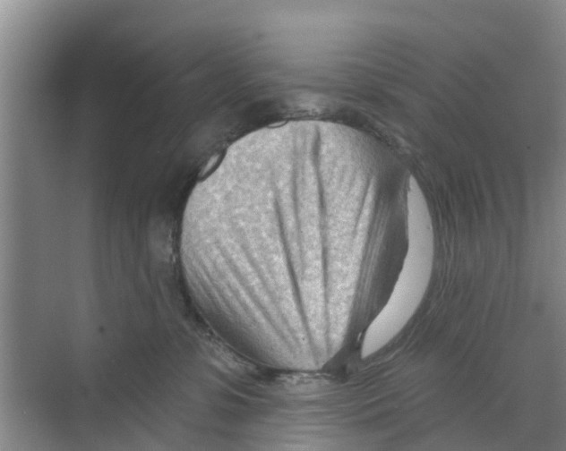 X0000070160331200606231901