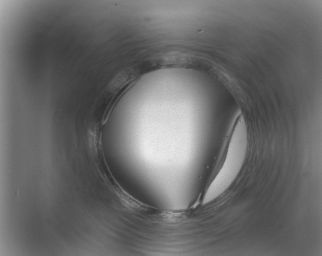 X0000070160333200606231901