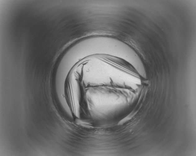 X0000070160348200606231901