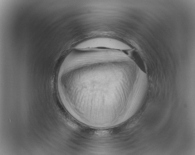 X0000070160357200606231901