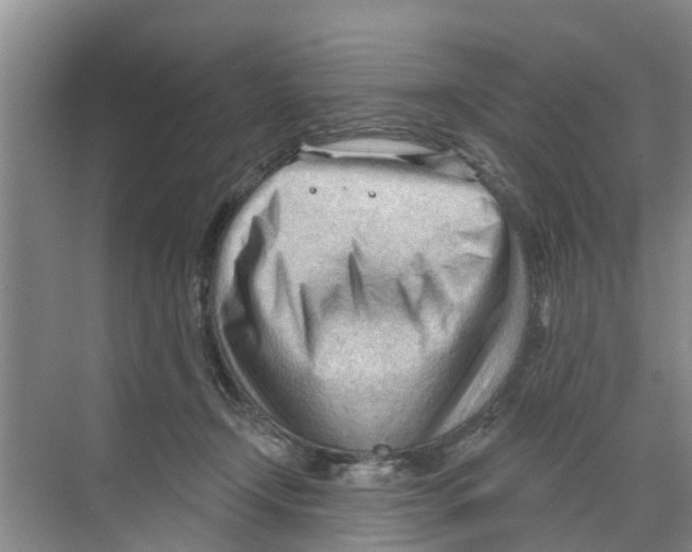 X0000070160366200606231901