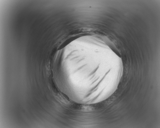 X0000070160376200606231901