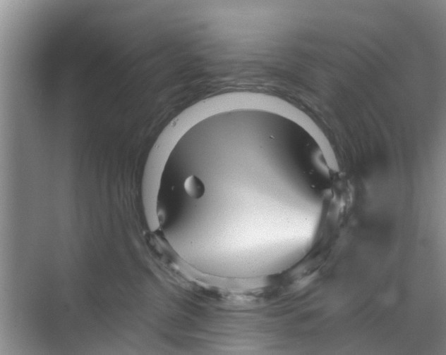 X0000070160380200606231901