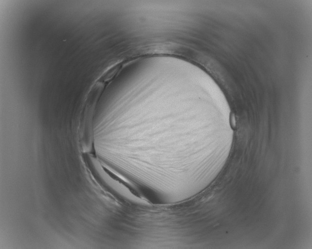X0000070160386200606231900