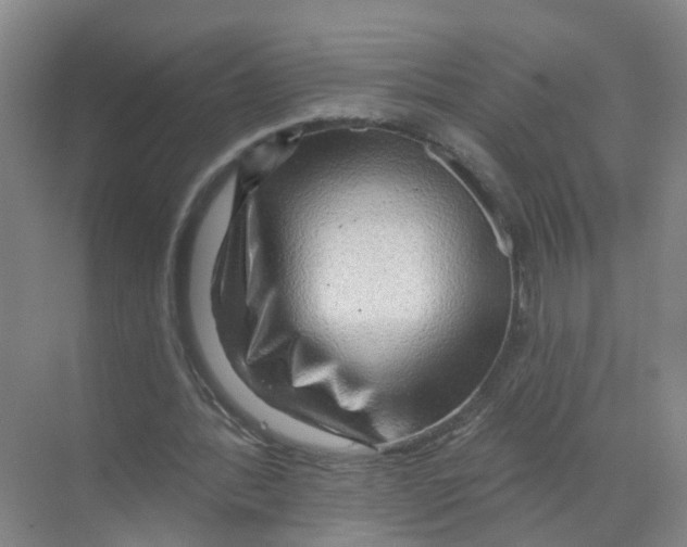 X0000070160388200606231900