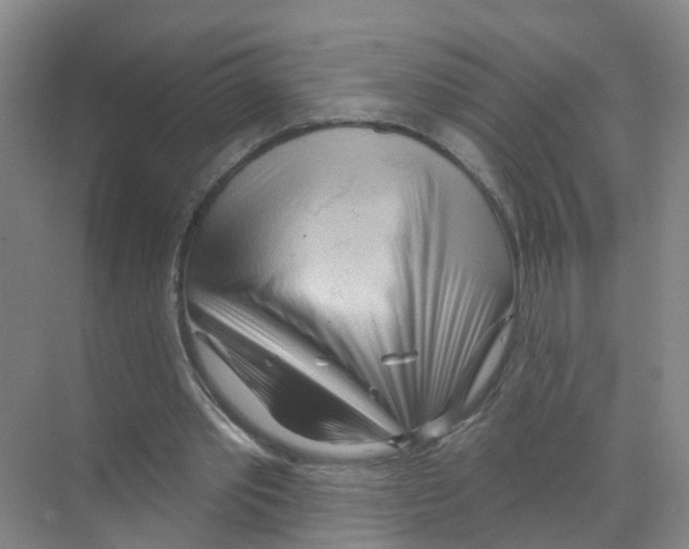 X0000070160389200606231900