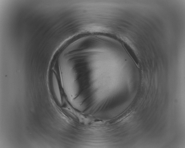 X0000070160391200606231900