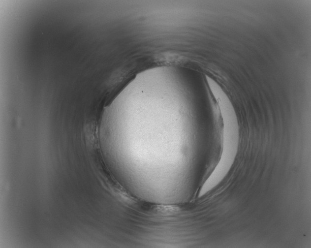 X0000070160429200606231900