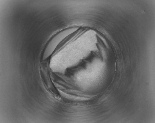 X0000070160434200606231859