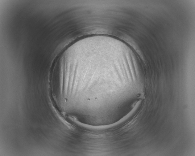 X0000070160437200606231859