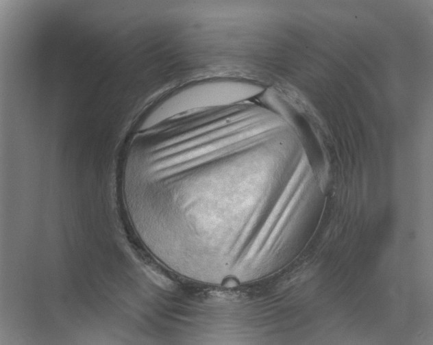 X0000070160442200606231859