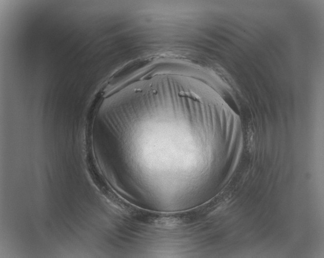 X0000070160444200606231859