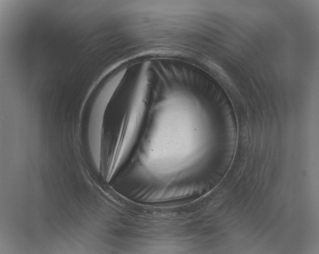 X0000070160484200606231859