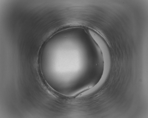 X0000070160485200606231859