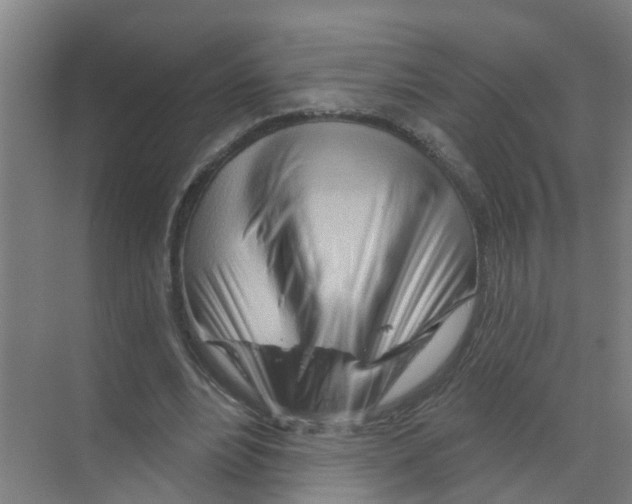 X0000070160488200606231859