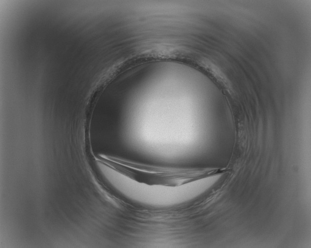 X0000070160493200606231858
