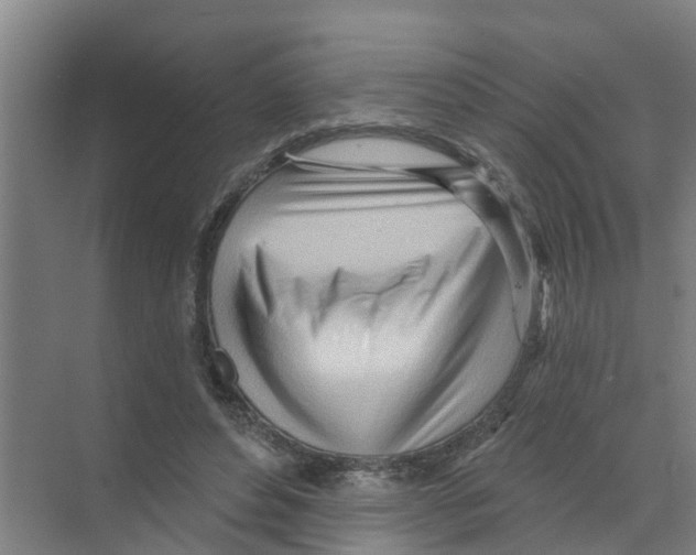 X0000070160496200606231858