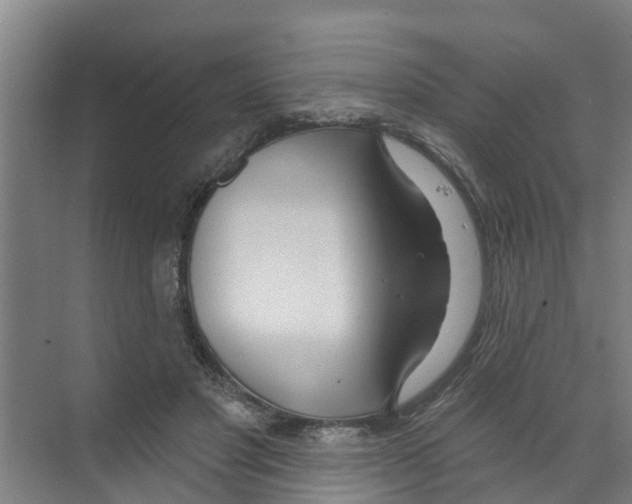 X0000070160501200606231858