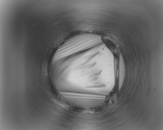X0000070160504200606231858