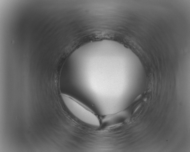 X0000070160513200606231858