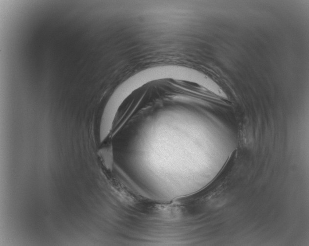 X0000070160520200606231858
