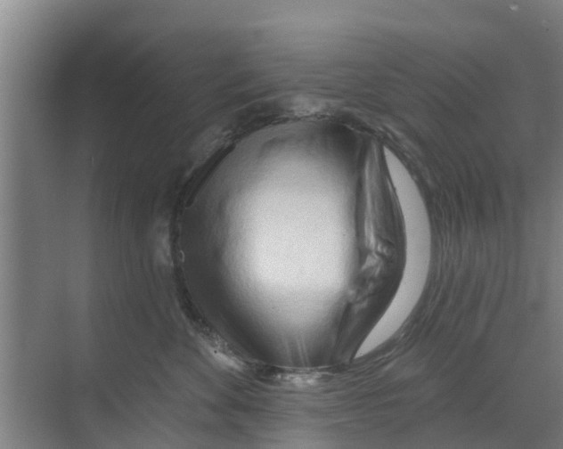 X0000070160524200606231858