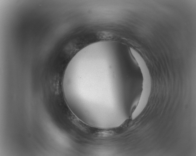 X0000070160525200606231858