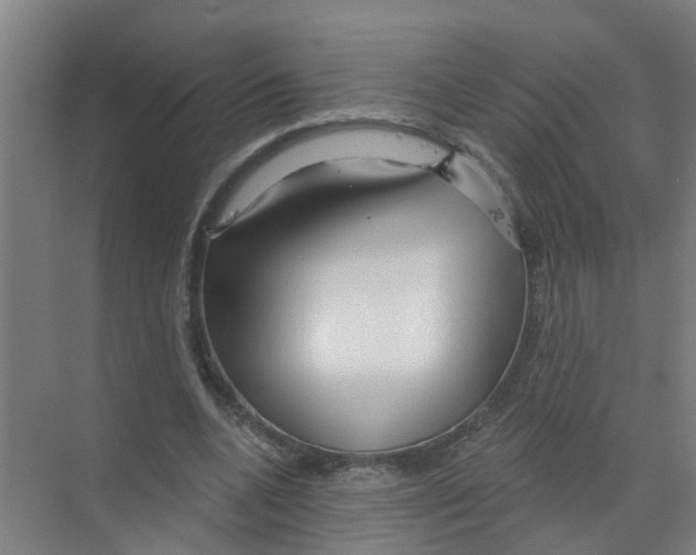 X0000070160536200606231857