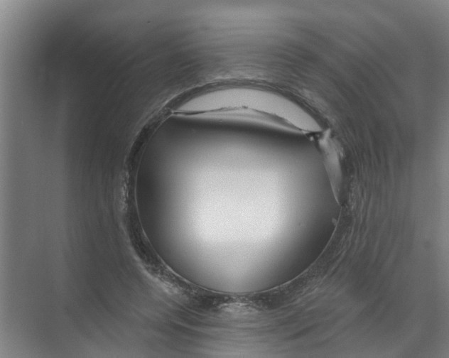 X0000070160544200606231857