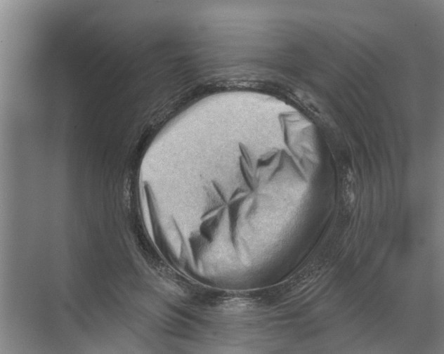 X0000070160551200606231857